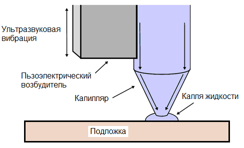 ������� � ���������